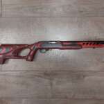 Ruger Model 10 20 kal. .22 lr